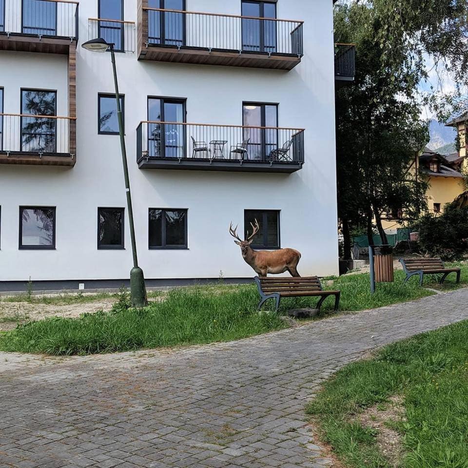 Apartman Hory - V Srdci Tatier Vysoké Tatry المظهر الخارجي الصورة